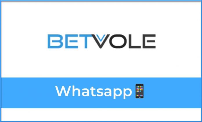 Betvole Whatsapp